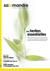 Les herbes essentielles (n°246)