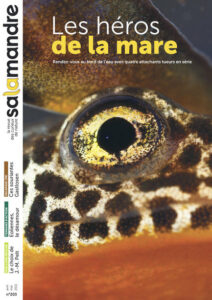 Les héros de la mare (n°203)