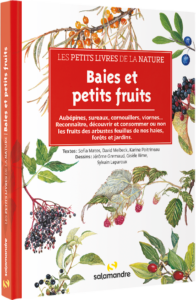 Les petits livres de la nature - Baies et petits fruits