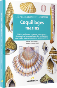 Les petits livres de la nature - Coquillages marins