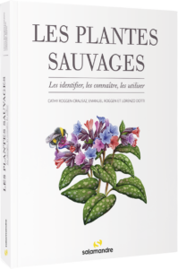 Les plantes sauvages