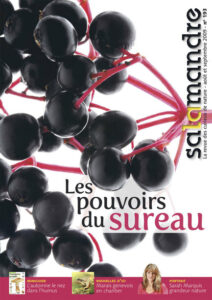 Les pouvoirs du sureau (n°193)