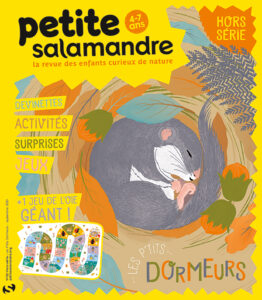 Les p'tits dormeurs (Hors-série n°3)