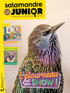 L'étourneau fait son show ! (n°156)