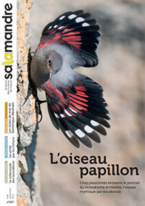 L'oiseau papillon (n°217)