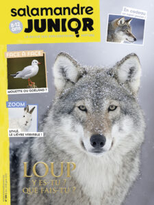 Loup y es-tu ? que fais-tu ? (n°109)