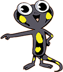 Mascotte