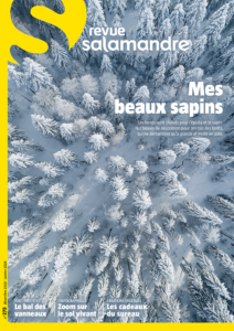 Mes beaux sapins (n°279)