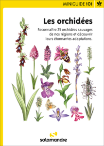 Miniguide 101 : Les orchidées