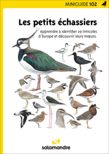 Miniguide 102 : Les petits échassiers
