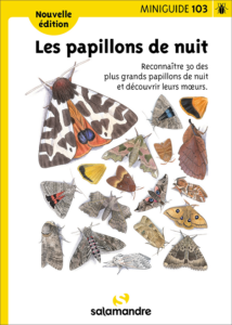 Miniguide 103 : Papillons de nuit