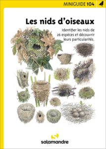Miniguide 104 : Les nids d'oiseaux
