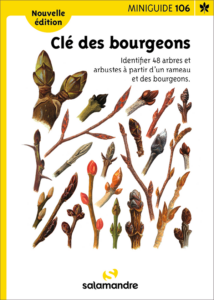 Miniguide 106 : Clé des bourgeons