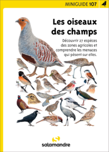 Miniguide 107 : Les oiseaux des champs