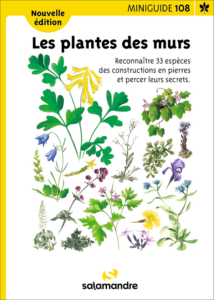 Miniguide 108 : Les plantes des murs