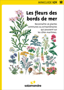 Miniguide 109 : Les fleurs des bords de mer