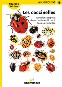 Miniguide 110 : Les coccinelles