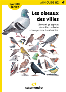 Miniguide 112 : Oiseaux des villes