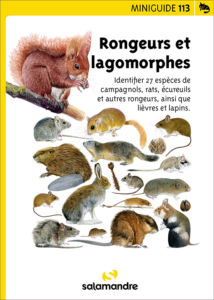 Miniguide 113 : Rongeurs et lagomorphes