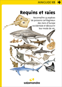 Miniguide 115 : Requins et raies