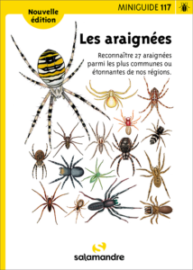 Miniguide 117 : Les araignées