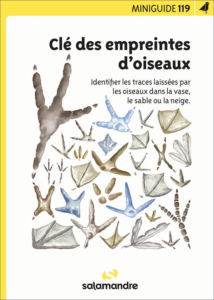 Miniguide 119 : Clé des empreintes d'oiseaux