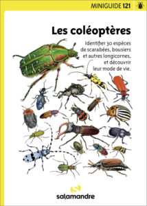 Miniguide 121 : Les coléoptères