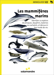 Miniguide 122 : Les mammifères marins