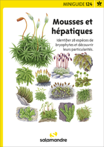 Miniguide 124 : Mousses et hépatiques