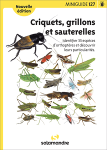 Miniguide 127 : Criquets, grillons et sauterelles