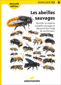 Miniguide 132 : Les abeilles sauvages