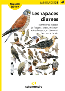 Miniguide 133 : Les rapaces diurnes