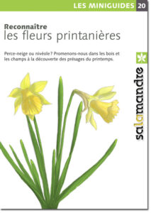 Miniguide 20 : Reconnaître les fleurs printanières