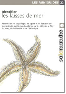 Miniguide 22: Les laisses de mer