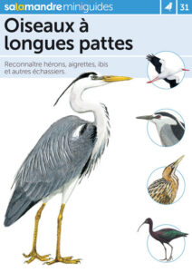 Miniguide 31: Oiseaux à longues pattes