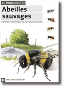 Miniguide 32: Abeilles sauvages
