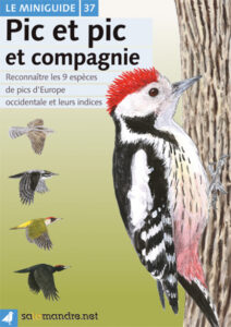 Miniguide 37: Les pics