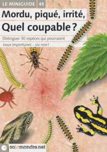 Miniguide 45 : Mordu, piqué, irrité, quel coupable ?
