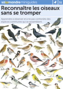 Miniguide 51 : Reconnaître les oiseaux sans se tromper