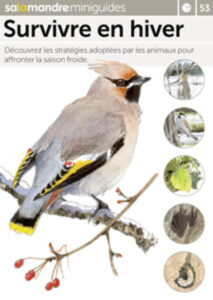 Miniguide 53 : Survivre en hiver