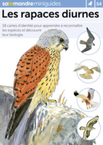 Miniguide 54 : Rapaces diurnes