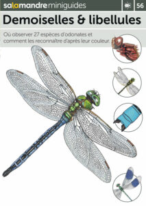 Miniguide 56 : Demoiselles et libellules