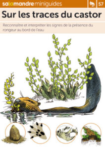 Miniguide 57 : Sur les traces du castor