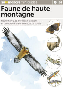 Miniguide 61 : Faune de haute montagne