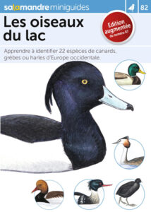 Miniguide 82: Les oiseaux du lac
