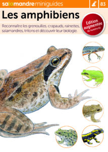 Miniguide 83: Les amphibiens