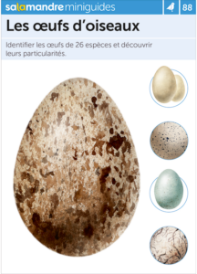 Miniguide 88 : Les œufs d'oiseaux