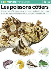 Miniguide 92 : Les poissons côtiers
