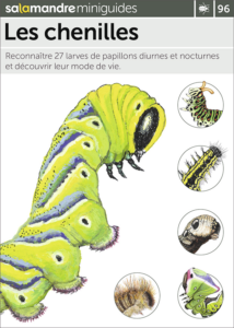 Miniguide 96 : Les chenilles
