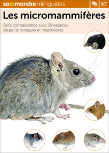 Miniguide 97 : Les micromammifères